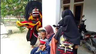 Barongan Kejarquotan Sama cewek Arak Arakan Barongan Blora Seni barong SAMI MULIYO JOYO [upl. by Earized]