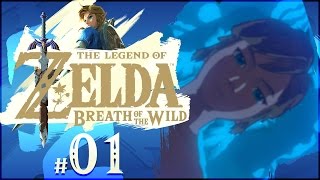 The Legend of Zelda Breath of the Wild  Part 1  New Adventure Begins Nintendo Switch Gameplay [upl. by Aibos]