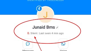 truecaller silent last seen means  truecaller silent last seen kya hai [upl. by Koppel535]