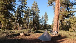 Bikepacking RenoBeckwourth CA 110 miles out and back [upl. by Sheffie]