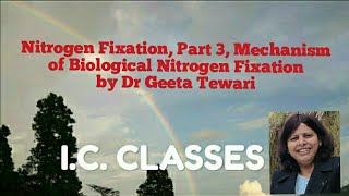 Bioinorganic Chemistry Part 7 Nitrogen fixation part 3 Mechanism of Nitrogen Fixation by Dr Geeta [upl. by Nelrsa]