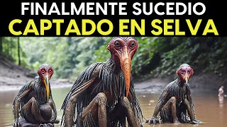 Lo Grabaron En La Selva Amazónica Y NADIE Lo Puede Creer [upl. by Byler]