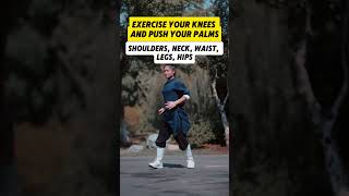 exercise your knees and push your palmsmartialarts health qigong taichi [upl. by Atiuqehc]