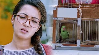 Catherine Tresa biography in Hindi PN Meena9352viralshortshorttrendingyoutubeshortsviralvideo [upl. by Anerehs]