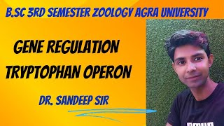 Tryptophan Operon  Bsc 3rd sem zoology Regulation of gene expression in prokaryotes [upl. by Golanka490]