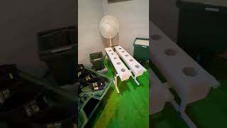 Terra Aquatica in Hua Hin Hydro grow equipment [upl. by Alarick]