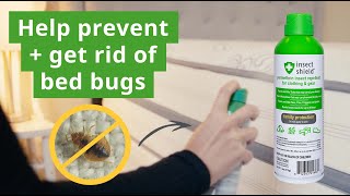 How to Prevent and Treat Bed Bugs with Permethrin Spray [upl. by Ainud]