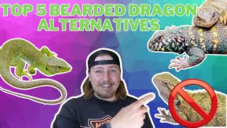 DONT BUY A BEARDED DRAGON Buy These Instead Top 5 Bearded Dragon Alternatives [upl. by Kelson182]