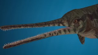 Mixosaurus Transitional form of Triassic Ichthyosaurs [upl. by Asira]