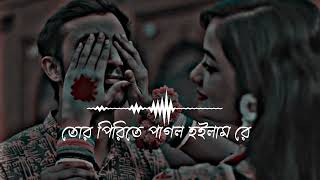 Tor pirite pagol hoilam re তোর পিরিতে পাগল হইলাম রে। Bangla lofi song slowed reverb song lofi [upl. by Euqram]