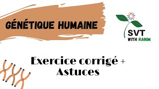 Génétique Humaine  Exercice corrigé  Astuces  Bac Tunisie [upl. by Jaycee]