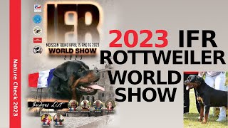 IFR Rottweiler World Winner 2023 [upl. by Radie]