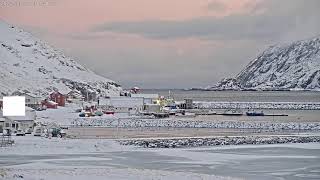 Live webcam from Skarsvåg North Cape in Norway [upl. by Kelbee]