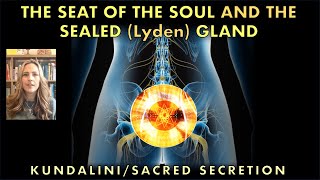 The SEAT OF THE SOUL and the SEALED Lyden Gland  Raise the Energy from the Sacral Chakra [upl. by Wendy]