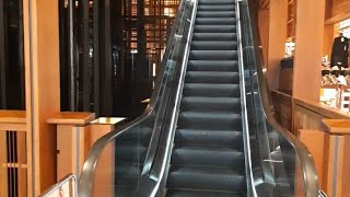 Difference between Lift Elevator Escalator and Travelator  Info Talkers [upl. by Aehta]