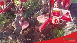 Servomoteur EVO4 PÉTALMATIC sur ACOLYTE 150 🚜 🍇 [upl. by Adnilav]