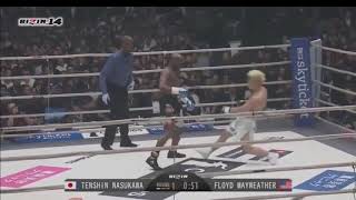 Floyd Mayweather vs Tenshin Nasukawa  Fake Knock Down [upl. by Assenat]