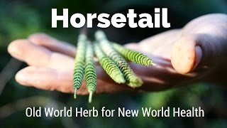 Horsetail  Old World Herb for New World Health  Harmonic Arts [upl. by Crompton]