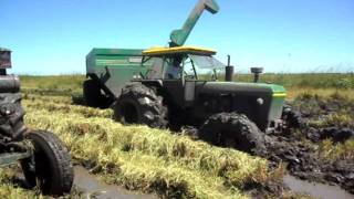 cosecha de arroz en corrientes [upl. by Leba]