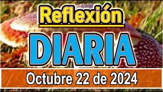 Reflexión diaria de hoy martes 22 de octubre de 2024 Mensajes y reflexiones para iniciar bien el día [upl. by Ydnab]