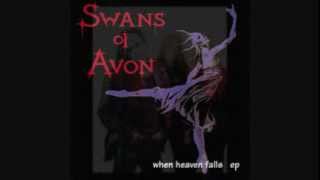 SWANS OF AVON  When Heaven Falls [upl. by Yellat]