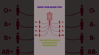 Know Your Blood Type The Importance of Proper Blood Transfusion sciencefacts blooddonation [upl. by Huebner198]