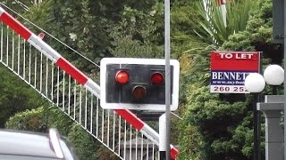 Level Crossing at Sandymount Station  IE 8300 Class Dart Train [upl. by Power724]