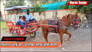 जानिए भिमथडी नस्ल के बारे में। Bhimthadi horse Breed [upl. by Nonac]