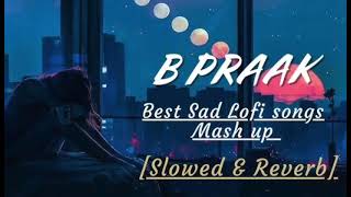 B Praak Sad Song [upl. by Ralat]