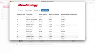 MicroStrategy Dataset Connector [upl. by Eentrok]