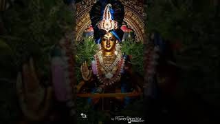 Vadathoru vasathamalika poopole ayyappa song HD [upl. by Anatollo]