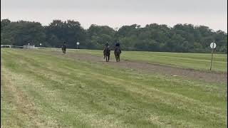 Chindwin far side working in Newmarket on Saturday [upl. by Greenleaf]