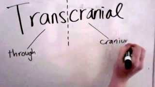 This is Your Brain on Magnets Transcranial Magnetic Stimulation TMS [upl. by Aveneg24]