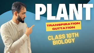 Excretion In Plants  Transpiration  Guttation  Class 10th Biology  Basharat Ali Lectures [upl. by Nodnarb576]