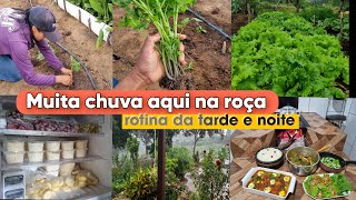 Há muitos anos não chovia assim🙌janta no fogão de lenhacomida mineira deliciosacuidados na horta [upl. by Alletniuq]