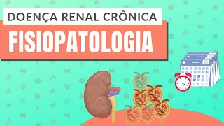 DOENÇA RENAL CRÔNICA I PARTE I Fisiopatologia [upl. by Jadd]