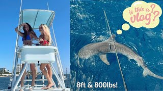 I CAUGHT A SHARK  is this a vlog  giuliana [upl. by Helaina]