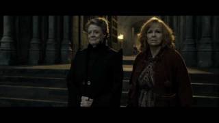 Harry Potter and the Deathly Hallows part 2  Boom and Piertotum Locomotor scene Dutch HD [upl. by Ueih]