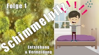 Schimmelpilz in Haus und Wohnung – Wieso Weshalb Warum [upl. by Pyne708]