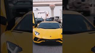 Gaddi Lamborghini Peele Rang De song shorts shortsindia lamborghini [upl. by Claudia]