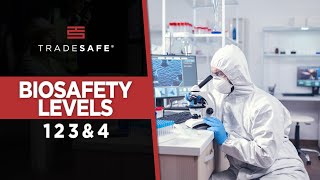 Biosafety Levels Explained Everything You Need To Know [upl. by Elam]