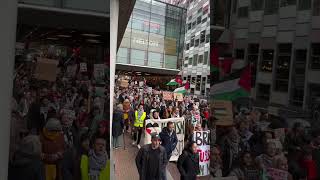 Massive protest is taking place in Utrecht Netherlands for Palestine🇵🇸 [upl. by Gnouhp]