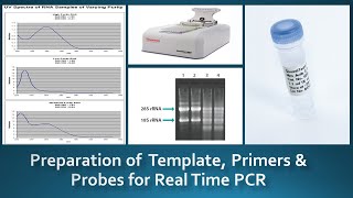 Guidelines for preparation amp Handling of Template Primers amp Probes for real time PCR [upl. by Ieppet]