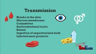 brucellosis animation explained [upl. by Casandra]