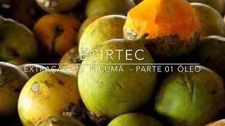 Prensa Extratora de Óleo de Tucumã Ecirtec Extraindo o Melhor da Natureza [upl. by Niriam]