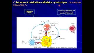 16 IMMUNOLOGIE S5  Mécanismes de défense part3 [upl. by Ahtelahs694]