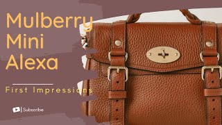 Mulberry Mini Alexa First Impression [upl. by Ecila283]