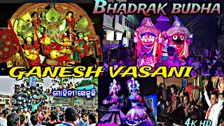 BUDHA GANESH VASANI BHADRAK 2023Budha Ganesha bhadrak 2023 shot by dphemantavlog [upl. by Acinorej]