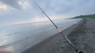 Ajing game  ultralight fishing using new rod  kyoto glory  ep 04 [upl. by Eckardt]