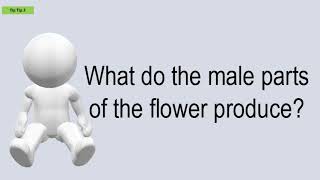 What Do The Male Parts Of The Flower Produce [upl. by Augusto464]